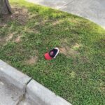 Picking up on a dog walk at Veterans Park